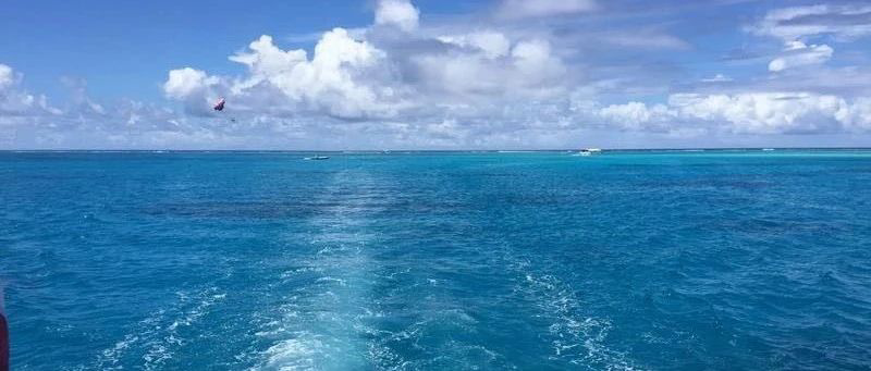 Featured image of post 巨大利好