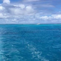 经济抡大锤