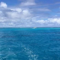 没顶住