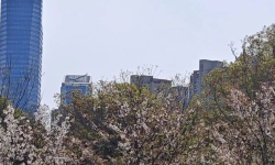 Featured image of post 美股走熊，螺旋下跌来了