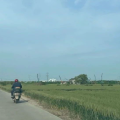 卷王杀入人工智能