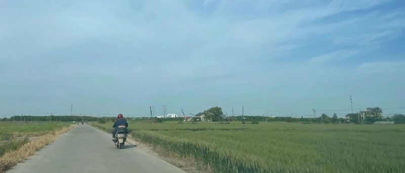 Featured image of post 卷王杀入人工智能
